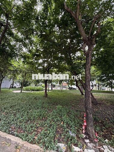🌳 MẶT TIỀN BÌNH PHÚ 2 – ĐỐI DIỆN CÔNG VIÊN – NHÀ 2 LẦU SÂN THƯỢNG