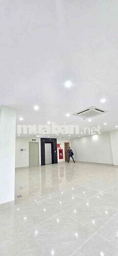 HÓT! CHÍNH CHỦ BÁN TÒA NHÀ VĂN PHÒNG PHỐ LÊ VĂN LƯƠNG LÔ GÓC SIÊU ĐẸP