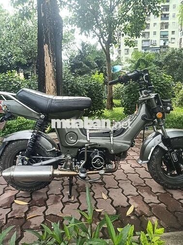 Honda Chaly