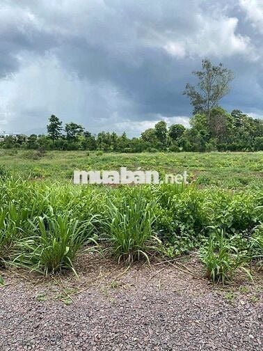 CẦN BÁN 1 CÔNG ĐẤT TẠI XUÂN BẢO, CẨM MỸ