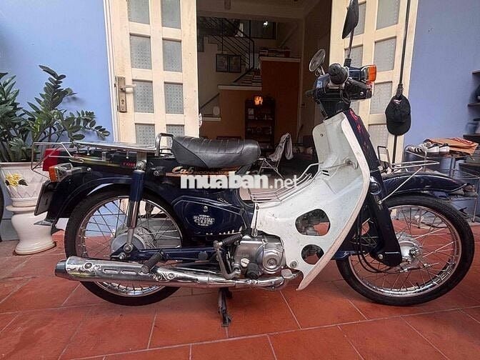 Honda Cubindona Cub 50cc 2023 Đen, Trắng