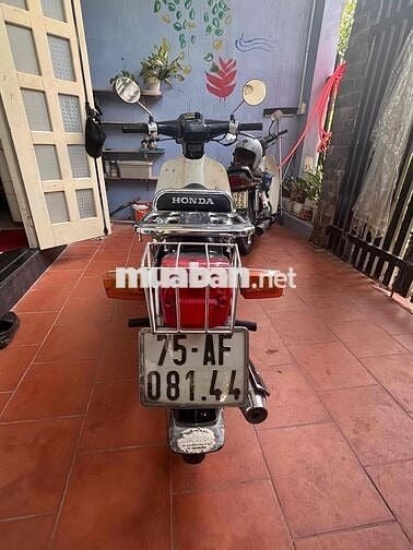 Honda Cubindona Cub 50cc 2023 Đen, Trắng
