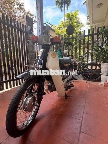 Honda Cubindona Cub 50cc 2023 Đen, Trắng