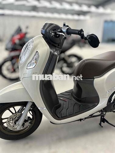 Honda Scoopy 2024 Trắng 20.000 km
