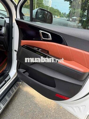 Kia Carnival 2.2 Dầu Premium 2023 1  chủ mua mới
