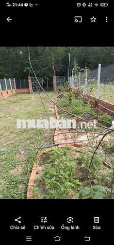 Đất vườn 300mv. Vĩnh Tân.Tân uyên.Bình Dương.giáp visip 2 mở rộng