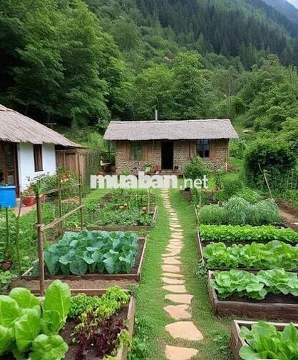 Đất vườn 300mv. Vĩnh Tân.Tân uyên.Bình Dương.giáp visip 2 mở rộng