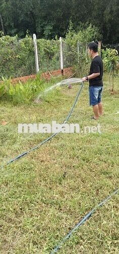 Đất vườn 300mv. Vĩnh Tân.Tân uyên.Bình Dương.giáp visip 2 mở rộng