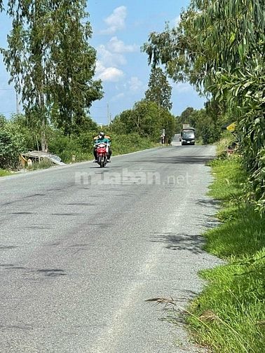 Cho thuê trạm xăng dầu đường Tỉnh 819 xã Tân Lập Mộc Hóa Long An