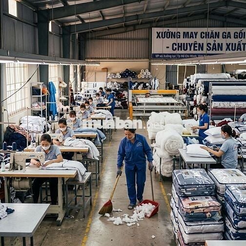 Tuyển Thợ Cắt Vải Chăn Ga Gối 8 đến 12 Triệu