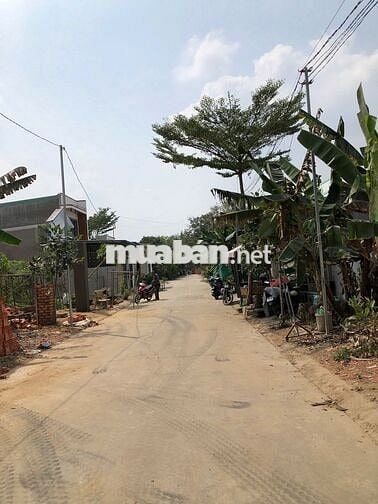BÁN ĐẤT 100m2 NGAY KHU 4 TÂN ĐỊNH BẾN CÁT GẦN KHU THỊNH GIA, ĐẠI NAM
