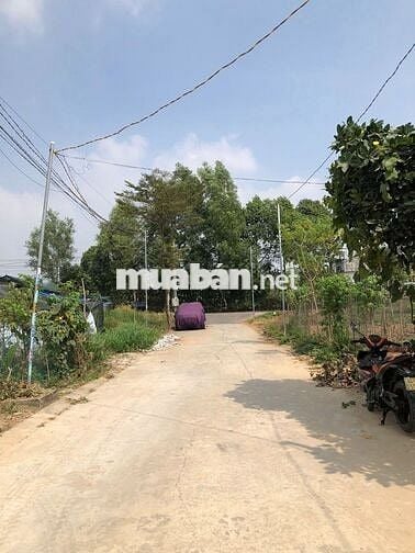 BÁN ĐẤT 100m2 NGAY KHU 4 TÂN ĐỊNH BẾN CÁT GẦN KHU THỊNH GIA, ĐẠI NAM