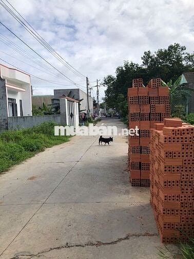 BÁN ĐẤT 100m2 NGAY KHU 4 TÂN ĐỊNH BẾN CÁT GẦN KHU THỊNH GIA, ĐẠI NAM