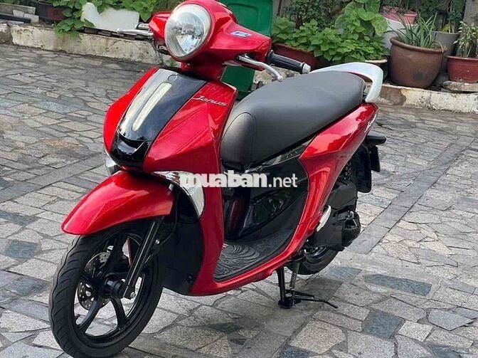 Janus 2019 Smatkey chính chủ trả trc 10tr8 nhận xe
