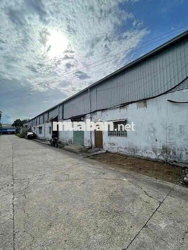 CHO THUÊ XƯỞNG PHÚ LỢI – THỦ DẦU (BÌNH DƯƠNG)
