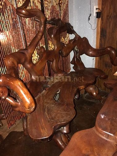 Bán bộ bàn ghế rễ cây gỗ tốt tại quận Bình Thạnh
