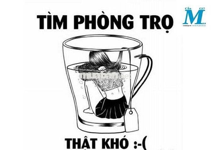 Ahihi, Cho thuê phòng đối diện chợ Thành Thái trung tâm Quy  Nhơn
