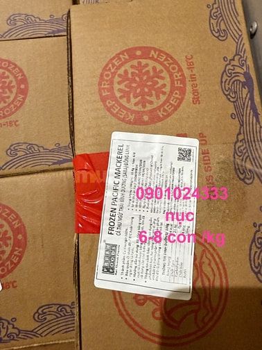 Cá Nục Sapa giá sĩ tận kho Hồ Chí Minh