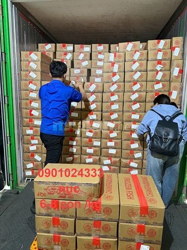 Cá Nục Sapa giá sĩ tận kho Hồ Chí Minh