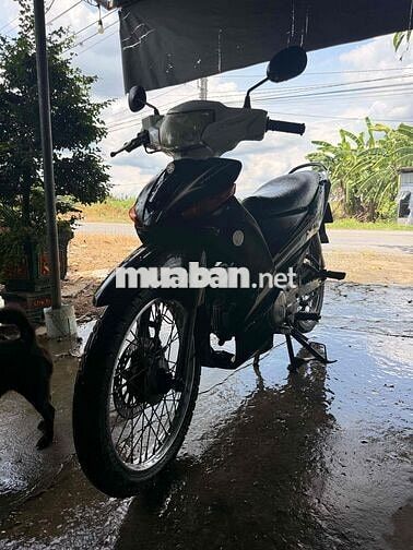 Yamaha Taurus Đen