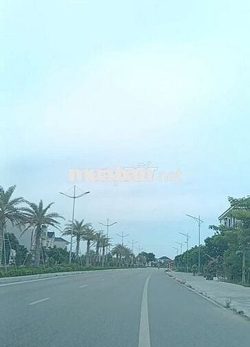 Chính chủ bán nhanh lô đất mặt tiền đường đôi Thịnh Đông rộng 40m