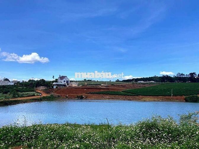 Đất mặt tiền 10m đường Lê Lai Di Linh Lâm Đồng