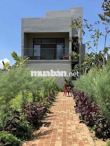 🏡 CHO THUÊ NHÀ 355m² GẦN HỘI AN – CHỈ 10 PHÚT ĐẾN PHỐ CỔ – PHÙ HỢP HOM