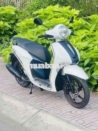 Janus 125 - dk 3/20219 -bstp chính chủ ký
