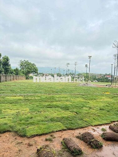 Cần rút vốn nhanh hạ giá bán rẻ lô 150m full thổ  tại Yên Bài, Hà Nội