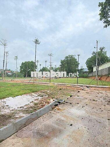 Cần rút vốn nhanh hạ giá bán rẻ lô 150m full thổ  tại Yên Bài, Hà Nội