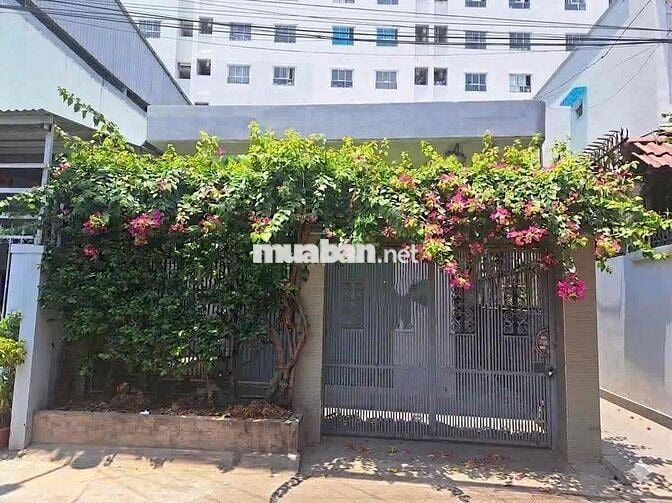CHO THUÊ NHÀ ĐẸP 6x16 HXH ĐƯỜNG SỐ 2 TRƯỜNG THỌ THỦ ĐƯC