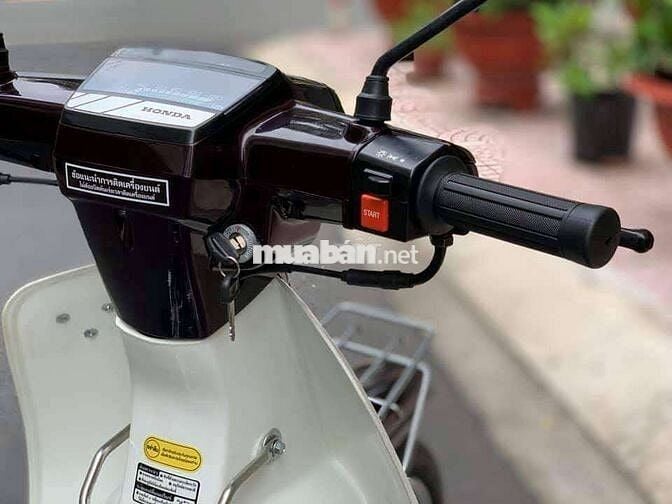 Honda Dream II 1995 Nâu