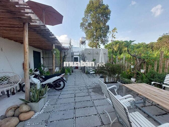 BÁN KHÁCH SẠN/HOMESTAY MINI - FULL OPTION