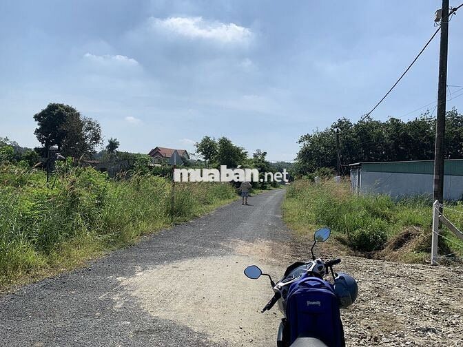 Bán đất thổ cư- xã An Nhơn Tây