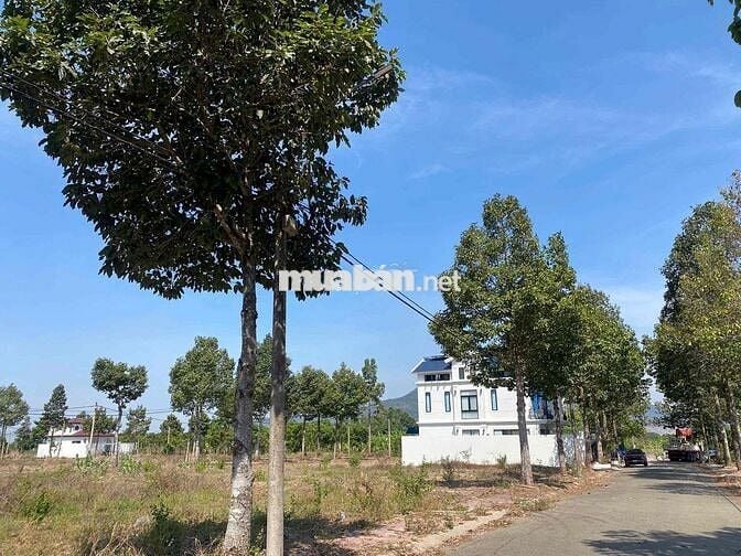 tôi chính chủ bán đất biệt thự Lan Anh 2