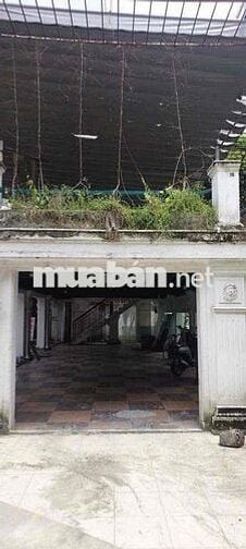 MẶT BẰNG KD NGANG 17M HOÀ BÌNH- THỦ ĐỨC