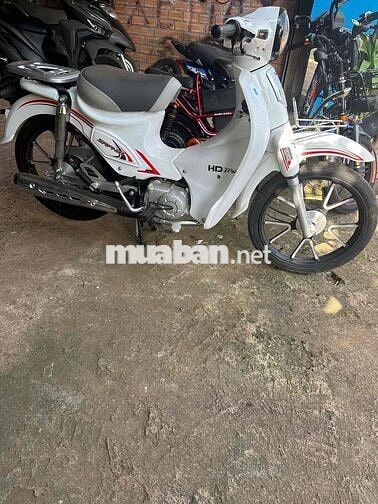 Cup 50cc Trắng Mới