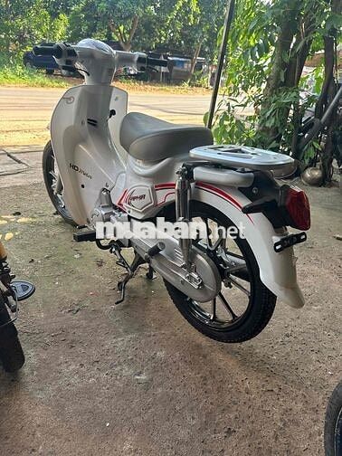 Cup 50cc Trắng Mới