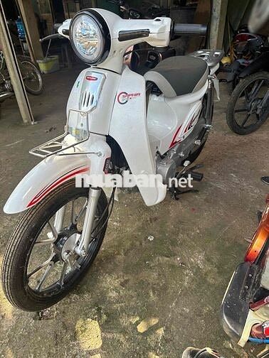 Cup 50cc Trắng Mới