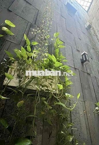 256 CHO THUÊ NHÀ 3 TẦNG XÂY MỚI 96M² – 3PN 4WC, SÂN Ô TÔ 20M²