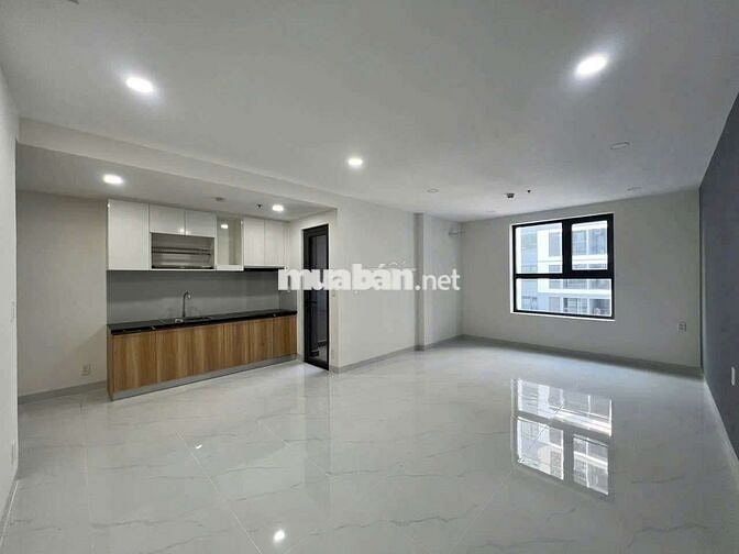 cho thuê căn hộ 1pn biconsi phú mỹ tdm Bình Dương 