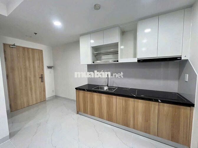 cho thuê căn hộ 1pn biconsi phú mỹ tdm Bình Dương 