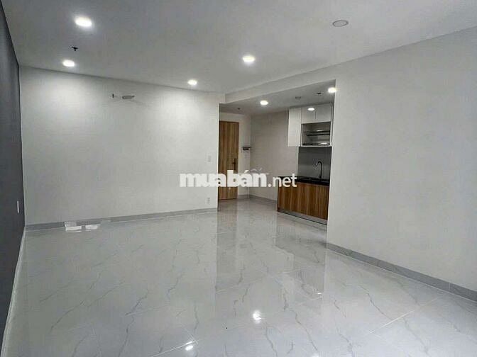 cho thuê căn hộ 1pn biconsi phú mỹ tdm Bình Dương 