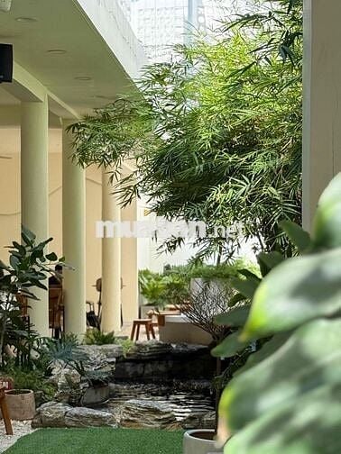 POLA TUYỂN NHÂN VIÊN PHỤC VỤ - PART TIME