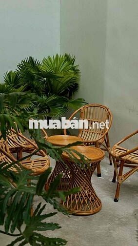 POLA TUYỂN NHÂN VIÊN PHỤC VỤ - PART TIME