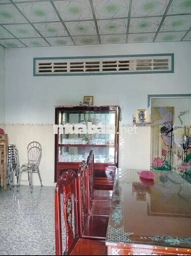 Cần bán nhà và đất vườn sầu riêng hơn 7 năm tuổi ở  xã tân thanh