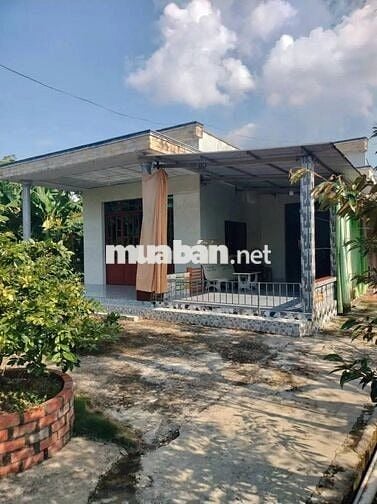 Cần bán nhà và đất vườn sầu riêng hơn 7 năm tuổi ở  xã tân thanh