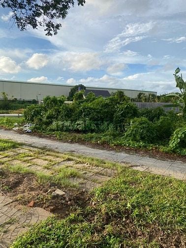 CHO THUÊ ĐẤT MẶT TIỀN VÕ VĂN KIỆT GIÁ 3 TRIỆU