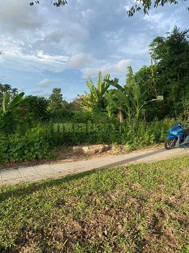CHO THUÊ ĐẤT MẶT TIỀN VÕ VĂN KIỆT GIÁ 3 TRIỆU