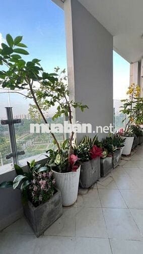 🔥Y HÌNH 100% – SIÊU PHẨM GARDEN GATE 2Pn2Wc DT 90m2 VIEW CÔNG VIÊN 🔥